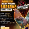 Rooster Viper Potencia Para Gallos