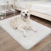 ZJYeRug Small Shaggy Area Rug,2x3 Utral Soft Rug for Living