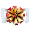 Bencley India Apple Cutter/Slicer with 8 Blades (Multicolour)
