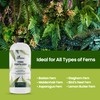 Fern Fertilizer for Greener Growth and Dense, Resilient Fronds, 16oz
