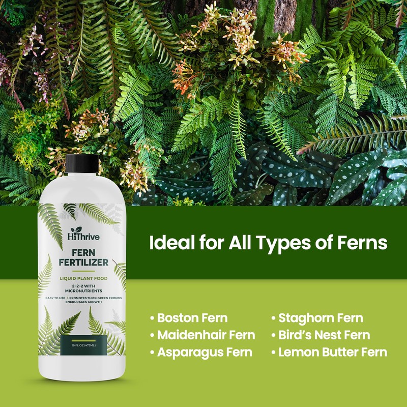 Fern Fertilizer for Greener Growth and Dense, Resilient Fronds, 16oz