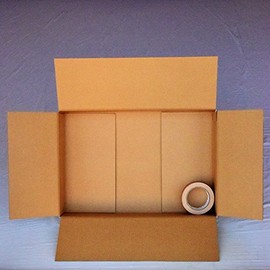 愛パックダンボール ダンボール箱 100サイズ 白 40枚 段ボール 日本製 無地 中芯強化材質