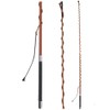 Fleck Telescopic Lunging Whip with Winding Handle