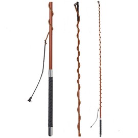 Fleck Telescopic Lunging Whip with Winding Handle
