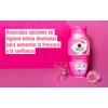 Benzal Wash Odor Block Wash Jabon Intimo Femenino, Protección 24h,