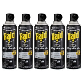 Raid Wasp & Hornet Killer Spray 14 oz (Pack of 5)