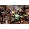 Mister Landscaper 360° Rose/90°/Center Strip