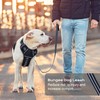 No Pull Dog Harness for Medium Dogs, Adjustable No Choke