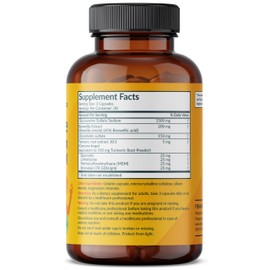 Futurebiotics Glucosamine Chondroitin Turmeric & MSM Advanced Joint Formula, Supports Healthy Joints & Mobility - Non-GMO, 90 Capsules