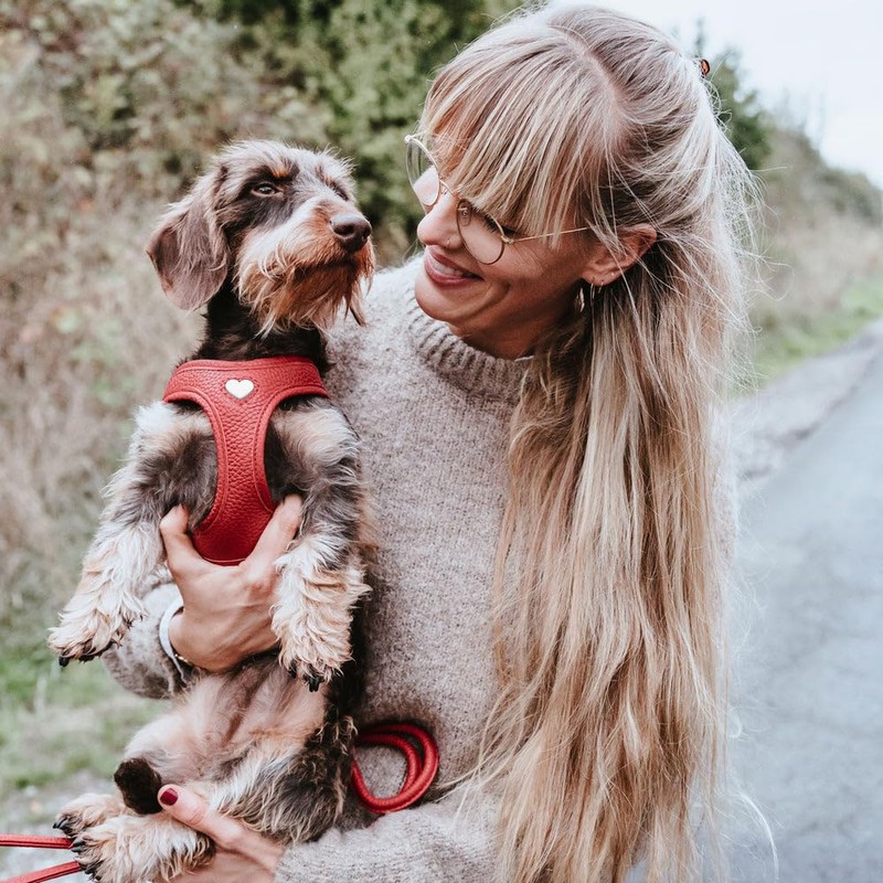 HUNTER Love Dog Harness, Colour: Brown, Soft Cowhide Leather, Breathable
