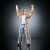 Mattel WWE Elite Collection Action Figure & Accessories, Premium Live