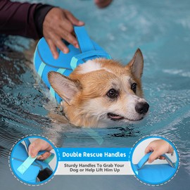 Dogcheer Dog Life Jacket with Double Rescue Handle, Reflective Dog Harness Life Vest for Swimming Boating, Adjustable Puppy Swim Jacket Pet DFD Flotation Vest for Small Medium Large Dogs - Blue M