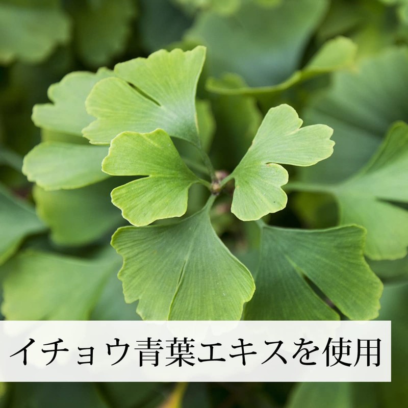自然健康社 イチョウ葉エキス粒 105g 420粒 イチョウ葉 エキス サプリ サプリメント