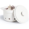 HAOTOP Garlic Keeper with Lid, Ceramic Garlic Saver Container for