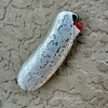 Metal Lighter Case Compatible BIC Standard J6 - Durable Lighter