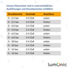 Lumonic I Pressure Gauge 0-6.0 Bar I 1/4 Inch I