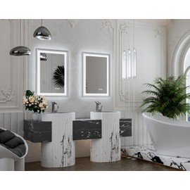 TETOTE Bathroom Mirror with Lights 20x28 Brushed Nickel LED Mirror Silver Frame Frontlit & Backlit Lighted Vanity Mirror Baroque Anti Fog Dimmable White/Warm/Natural,Wall Mounted(Horizontal/Vertical)