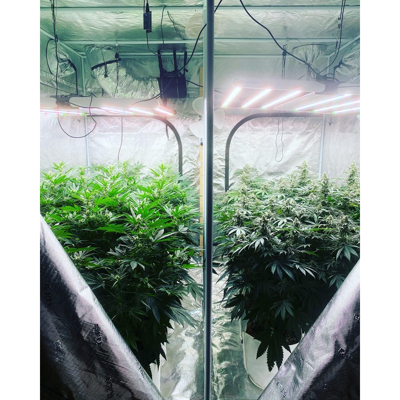 Rain Science Grow Bag, Air Pruning Mesh Fabric Plant Container