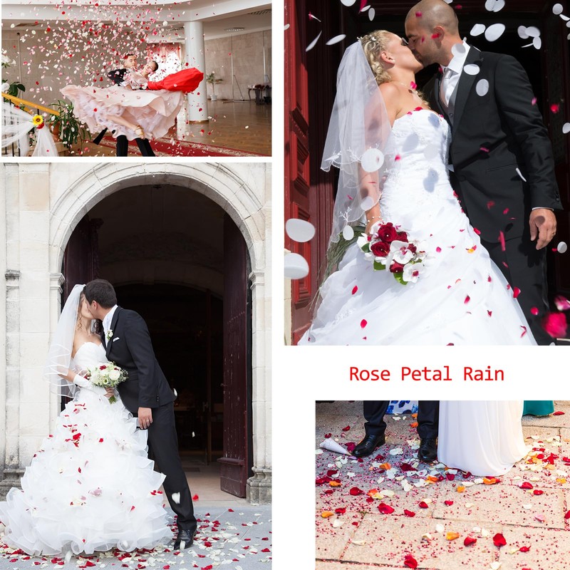 3000 Pcs Rose Petals Artificial Flowers Silk Petals Table Scatters