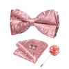 DiBanGu Silk Pink Mens Bow Tie Paisley Pretied Bow Tie