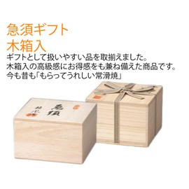 Chubu Burn 8 – 151 Spring and Autumn No. 17 若緑 Edition Cherry Belt Web 急須 (Wood AM – T1434 