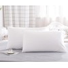 Microfiber Queen Bed Pillowcases 2 Pack, Super Soft Bed Pillow