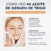 HEBBE - Aceite de Germen de Trigo 100ml | Antioxidante