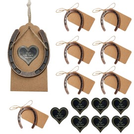 Aweisile Horseshoe Decoration Set of 8 Horseshoe Decoration Vintage Horseshoe Lucky Charm Horseshoe Decoration Set for Horseshoe Lucky Charm Horseshoe Lucky Horseshoe Wedding for Wedding Birthday
