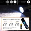 SecurityIng Diving Light, 800 Lumens, IPX-8 Waterproof, Diver Light, Underwater