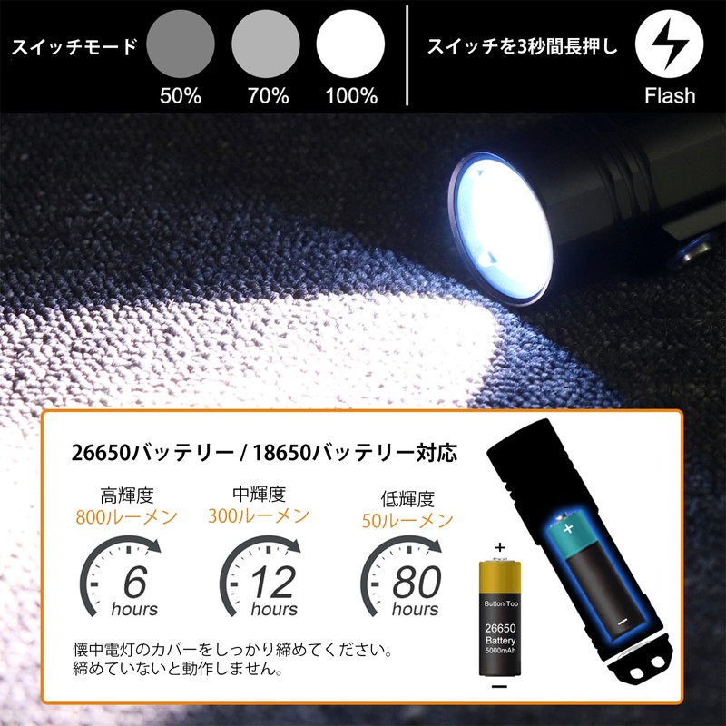 SecurityIng Diving Light, 800 Lumens, IPX-8 Waterproof, Diver Light, Underwater