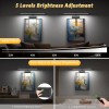 Evotech Black 20" L350 Wall Picture Lights w/Remote 3 Colors