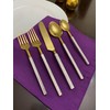 Vibhsa Golden Stainless Steel Flatware Set of 20 Pieces