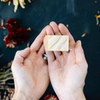Osmia Organics Luz Enzyme Facial Soap