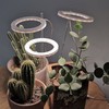 LED Plant Grow Light 5 Dimmable Modes 4 Head Timing