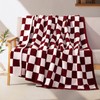 Elegant Comfort Premium Checkered Reversible Throw Blanket - Ultra Soft