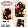 Honjien Black Cat Tea Utensils, 5-piece Set, Drawstring Cloth, Ippo,