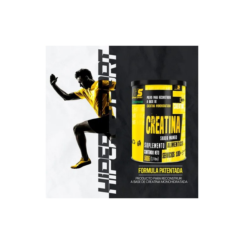 Hs Hiper Sports Creatina Monohidratada 500g 100servs