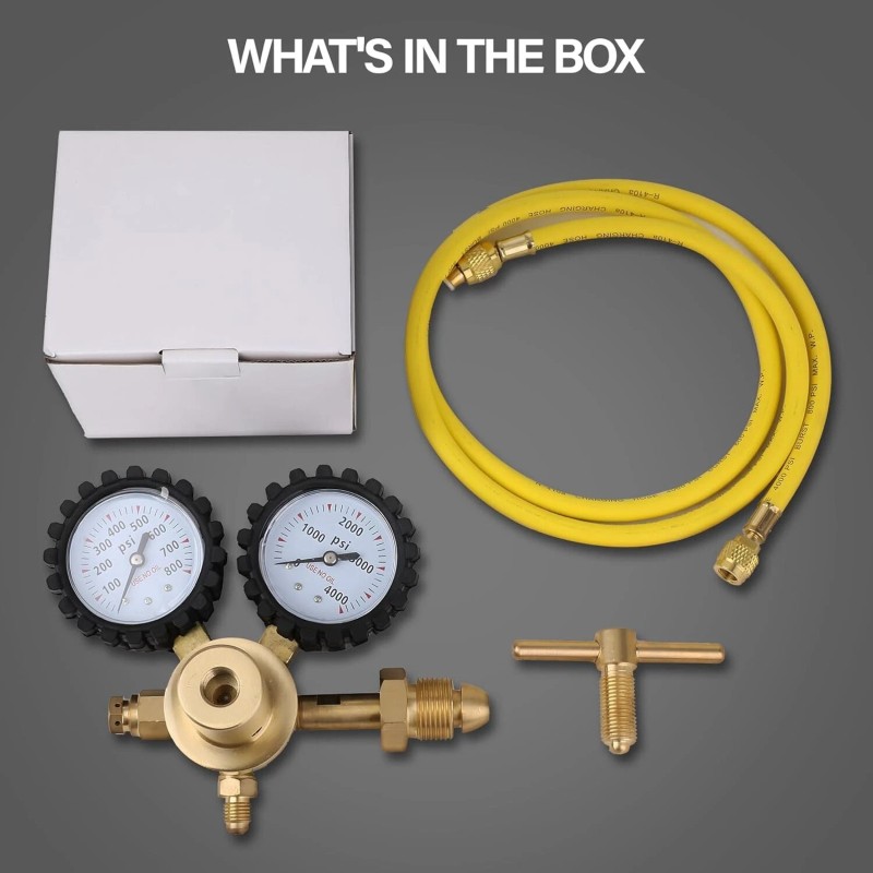 Unbranded Professional Nitrogen Regulator w/ Hose 0-800 PSI Output Pressure