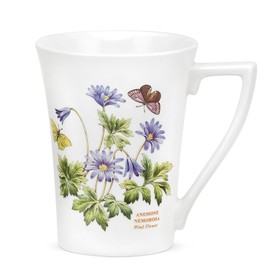 Portmeirion Botanic Garden Mandarin Mug Wind Flower 