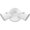 Lithonia Lighting HomeGuard 2-Light LED Outdoor Flood Lights, Outdoor LED