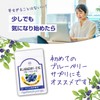 【公式】わかさ生活 ブルーベリーアイ 3袋セット (31粒入り × 3袋) ビルベリー アントシアニン ルテイン ソフトカプセル