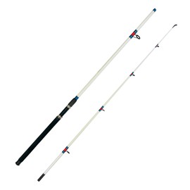 EatMyTackle Surf Fisher - 20-40 lb. Spinning Surf Rod (10 ft. 2pc.)