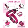 Kaka Mall Adjustable, Breathable, Reflective Nylon Dog Collar