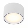 Nordlux Fallon 3 Step Dimming Indoor Downlight/Ceiling Light White Metal,