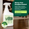 Cedarcide Scorpion Shield (Quart) Indoor Cedar Oil Pest Control Spray