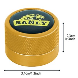 Banly Round Pool Chalk Holder, Portable Pool Cue Chalk Holder, Magnetic Mini Chalk Holder Pool Billiards, Pool Cue Chalk Case Container Box for Billiard Cue Tip Tool Snooker Pool Table Accessory
