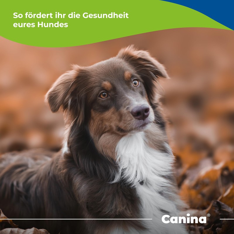 Canina Barfer's Best - Powder - 180g