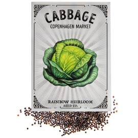 Cabbage Seeds for Planting | Copenhagen Variety (2g Packet - Approx 460 Seeds) | Non-GMO & Heirloom Seeds | Illustrated Seed Packet with Growing Instructions by Rainbow Heirloom Seed Co.