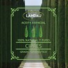 ACEITE ESENCIAL DE CIPRÉS 30 ML. GRADO TERAPEUTICO, puro natural