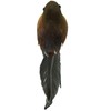 HAORONG 8PCS Large Robin Bird Christmas Tree Decoration Craft Very